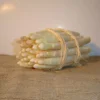 Asperge Argenteuil En Griffes - Asparagus Officinalis